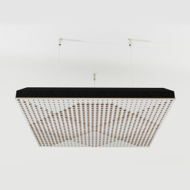 Ceiling Acoustic Cloud Panel «Wilds»