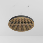 Ceiling Acoustic Cloud Panel «Circles»
