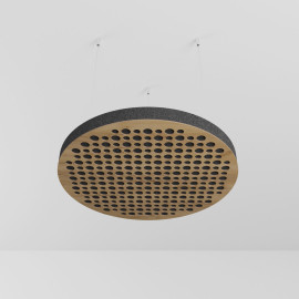 Ceiling Acoustic Cloud Panel «Circles»