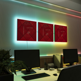 Acoustic Panels "Wilds" with RGB Backlight